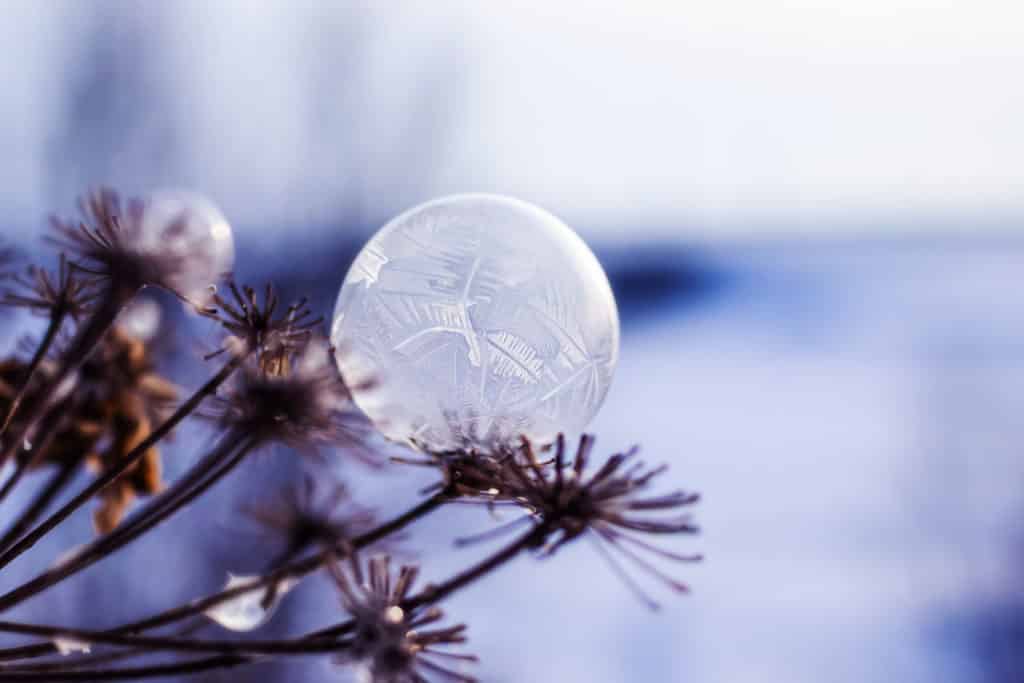 Bevroren zeepbel fotofograferen