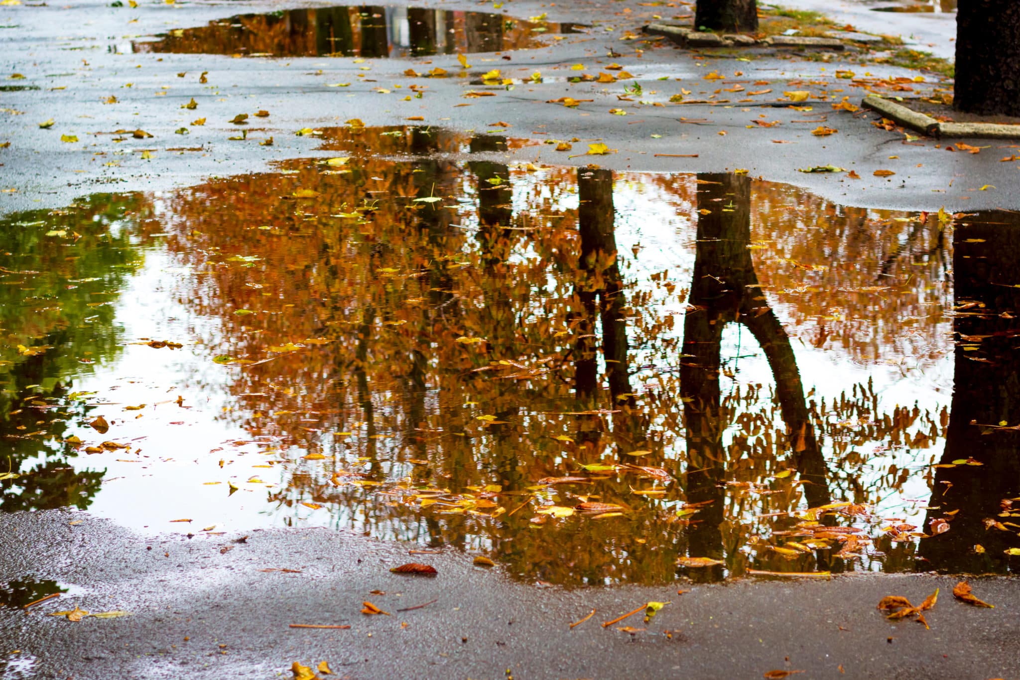 Compositie Fotografie: Orde Om De Perfecte Foto's Te Maken