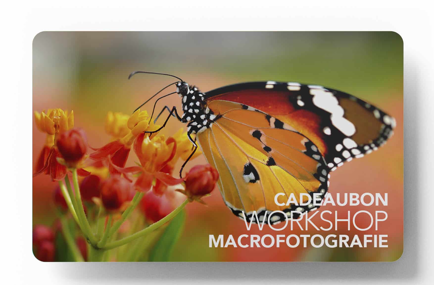 Fotografie Ploeg Benelux B.V. macrofotografie cadeaubon workshop fotografie 17