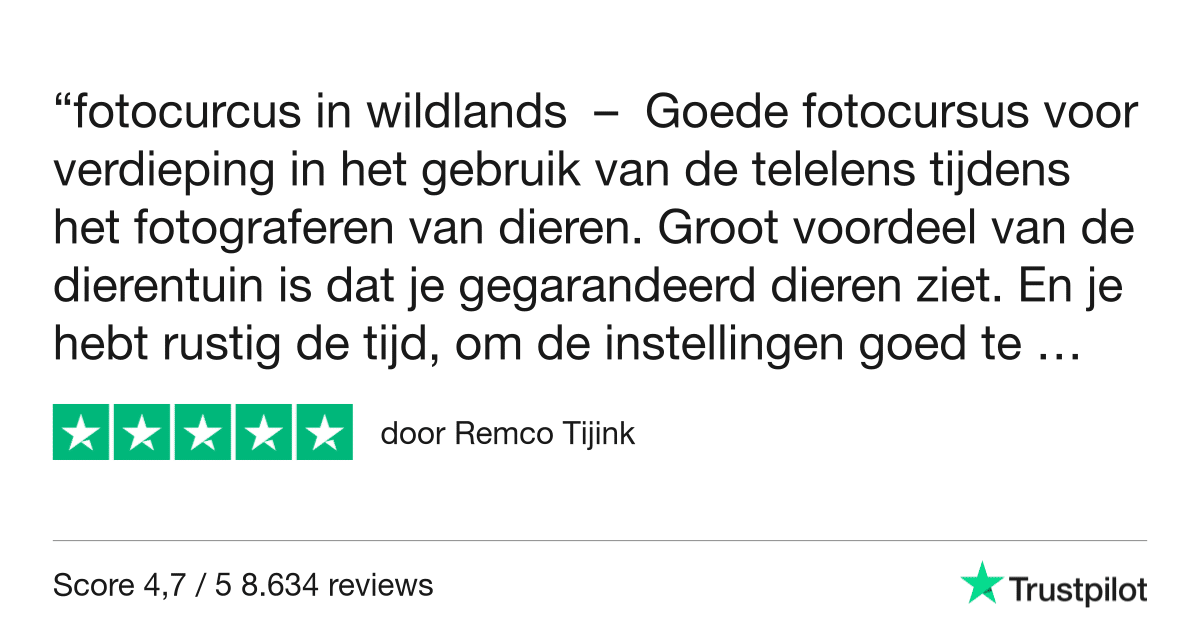 Fotografie Ploeg Benelux B.V. Trustpilot Review Remco Tijink