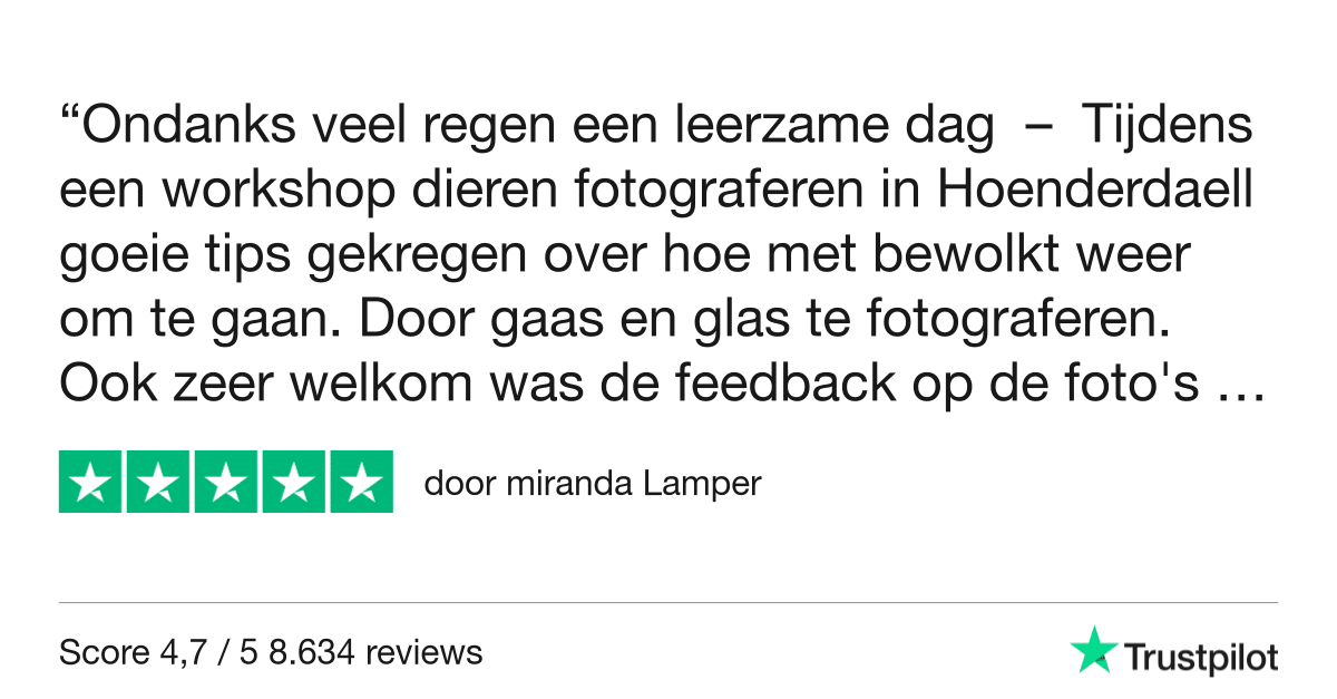 Fotografie Ploeg Benelux B.V. Trustpilot Review miranda Lamper